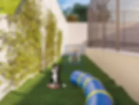 petplace.jpg