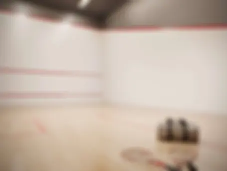 bosque_cerejeiras__tecnisa__quadra_de_squash.jpg